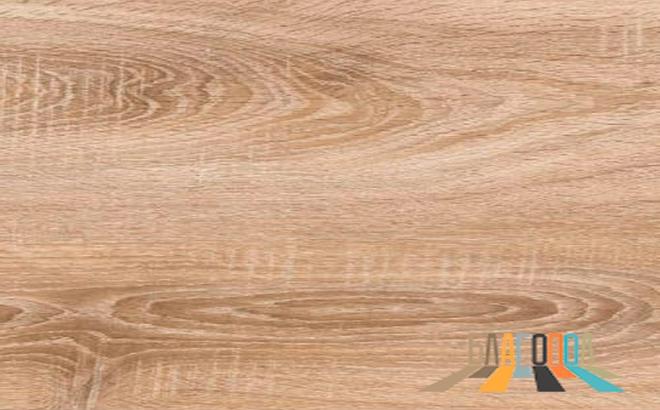 Russian-Oak-081